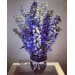 Blue Delphiniums | Blue Vase